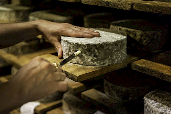 Contrôles réguliers pour fromage IGP