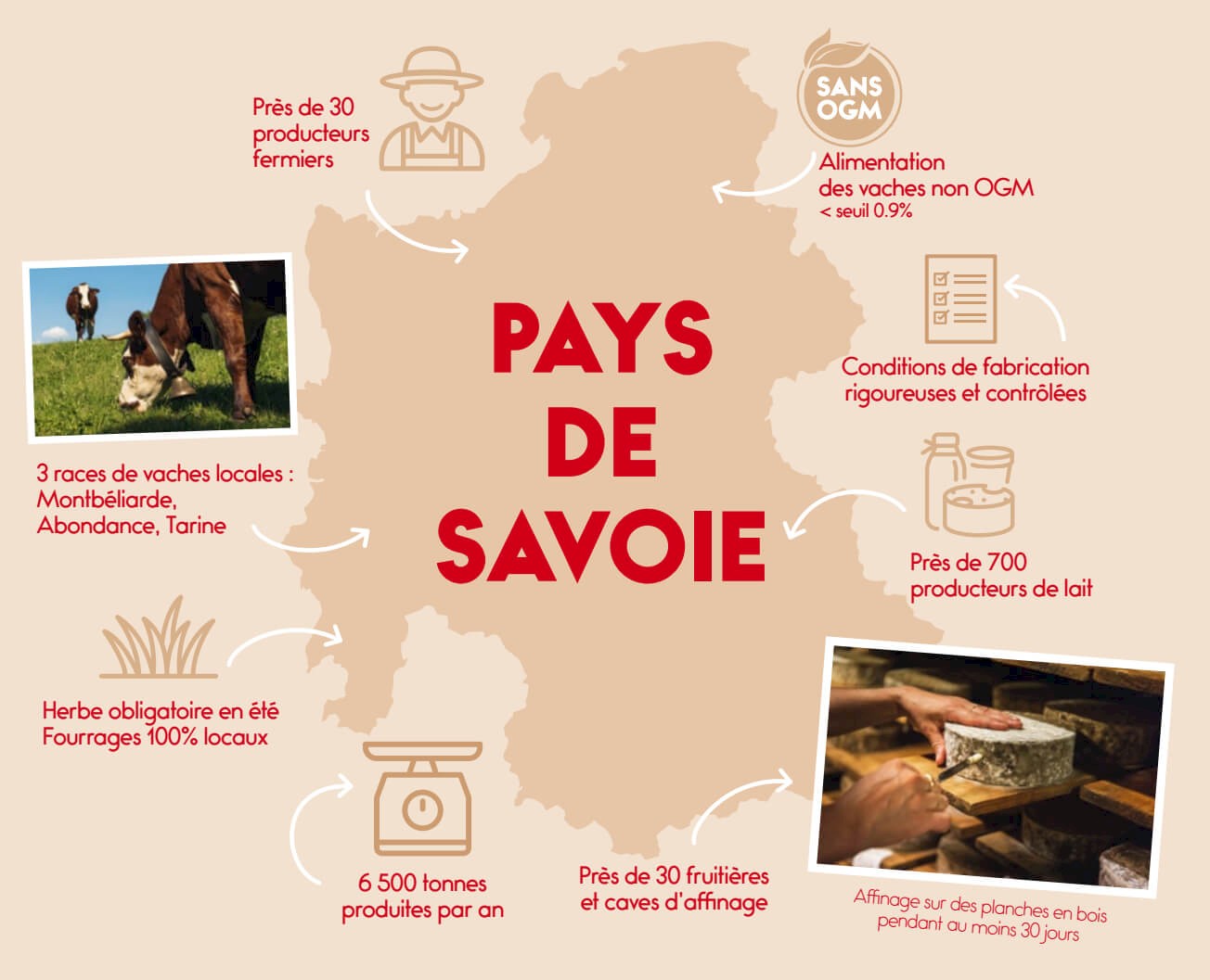 Pays de Savoie : 3 races de vache avec du lait sans OGM et cahier charges rigoureux de l'IGP.