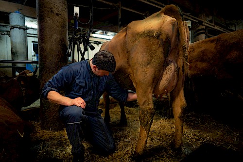 Découvrez la ferme de l'Abérieux à Cordon