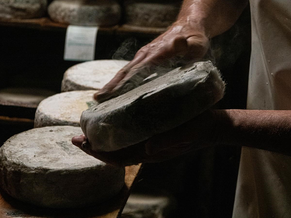 Tomme en affinage