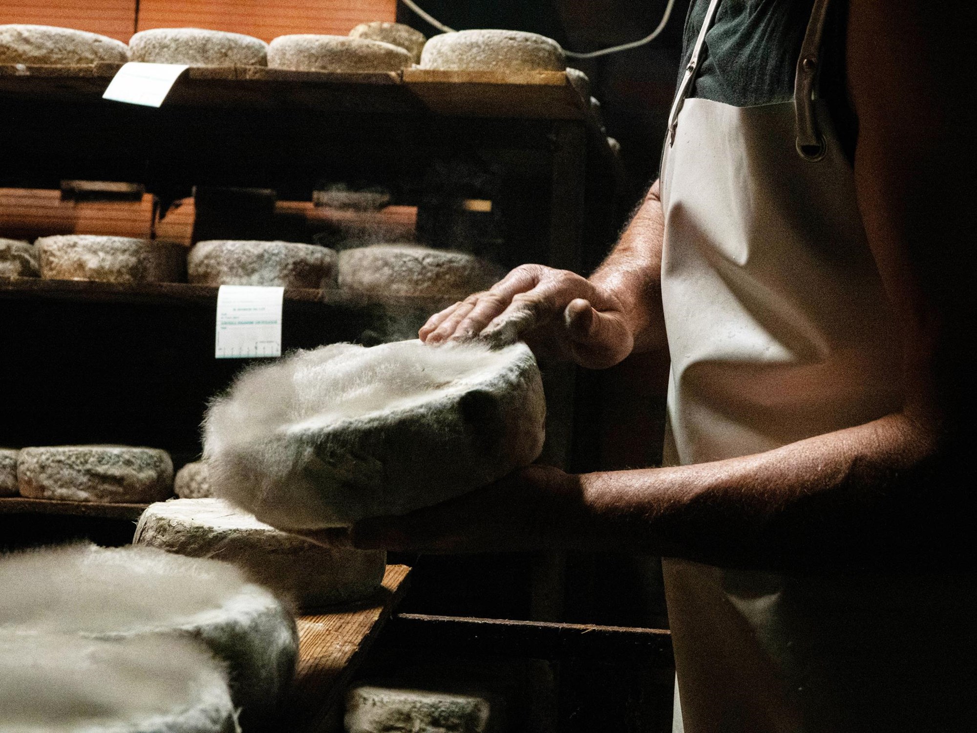 Tomme de Savoie igp