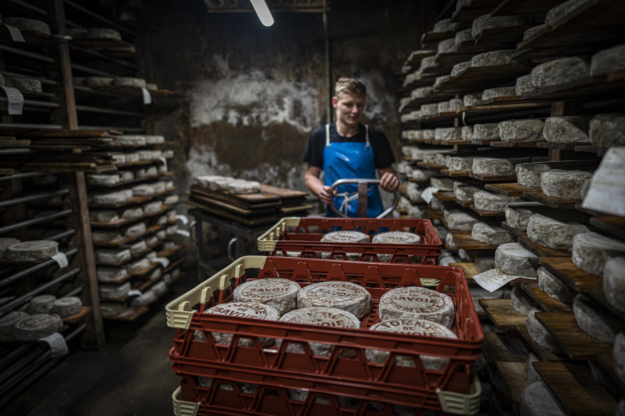 Tomme de Savoie igp